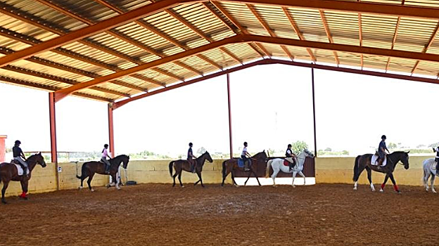Grupo practicando hípica en el Centro de Hípica Paloblanco de Utrera