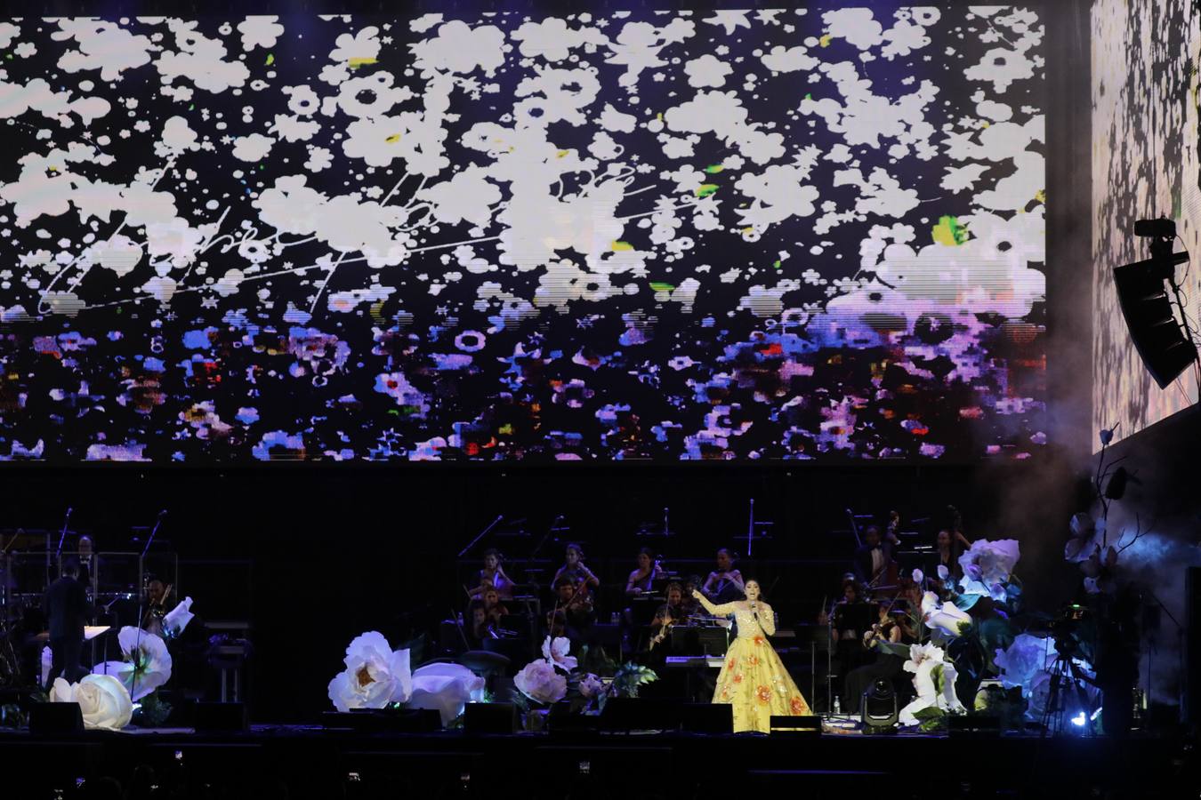 Concierto de Isabel Pantoja en el Estadio de la Cartuja de Sevilla