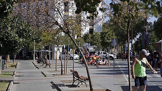 Paseo de Colón