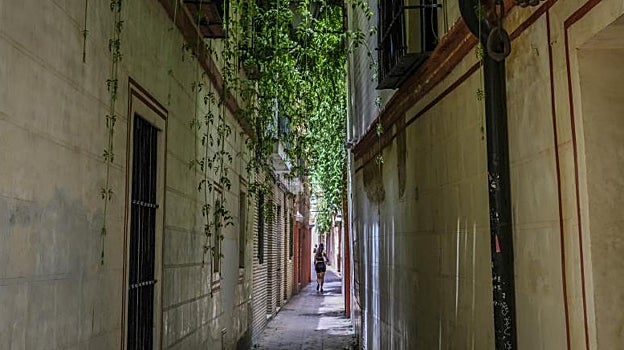 Callejón del barrio de Santa Cruz