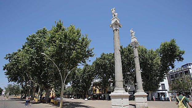 Alameda de Hércules