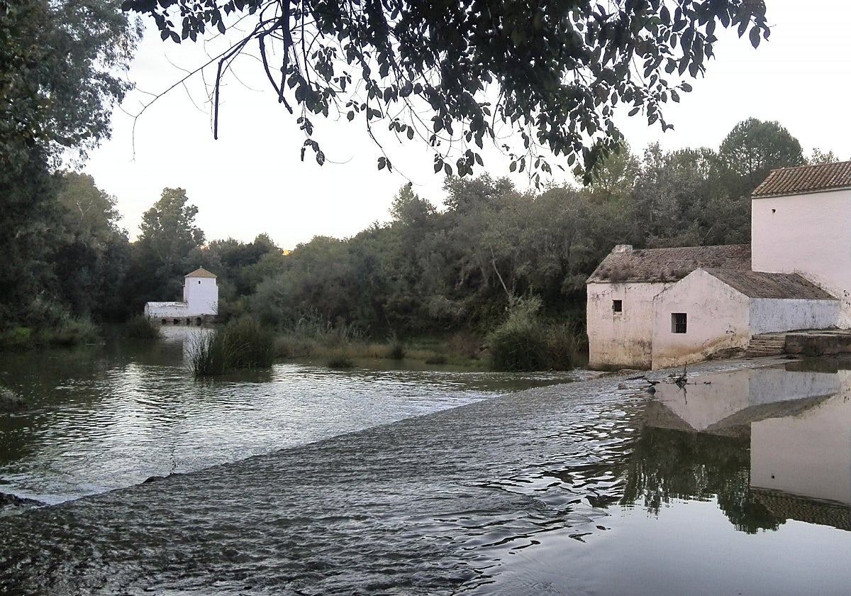 Una de las propuestas de la semana consiste en una interesante ruta por los antiguos molinos de Alcalá de Guadaíra