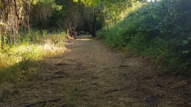 En Las Navas de la Concepción la vegetación regala al visitante rincones de un valor incalculable