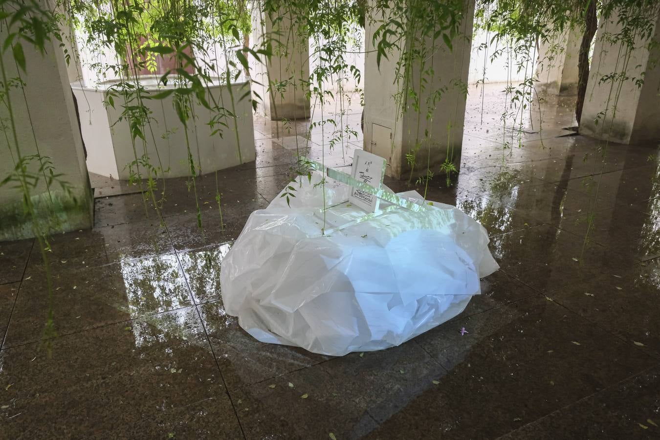 La exposición 'Silencios de tiempos', de la artista canaria Concha Jerez, en el CAAC de Sevilla