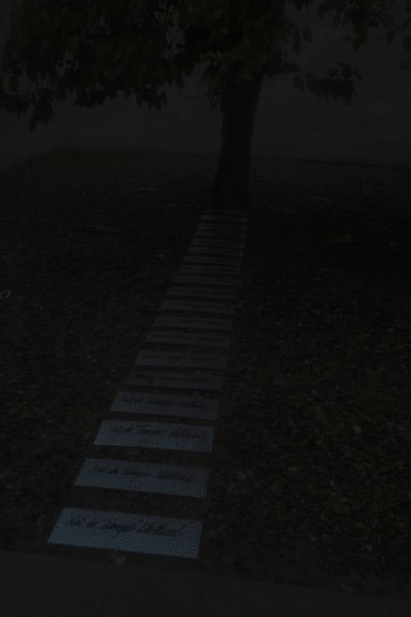 La exposición 'Silencios de tiempos', de la artista canaria Concha Jerez, en el CAAC de Sevilla