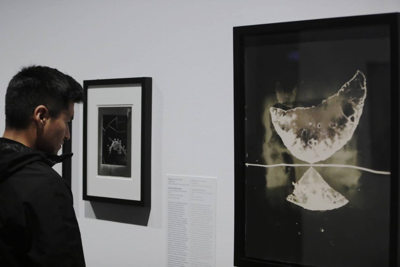 La exposición se puede visitar en Sevilla hasta finales de marzo de 2024