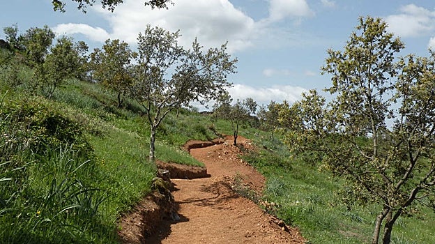 Este sendero discurre por zonas montañosas de la localidad serrana de San Nicolás del Puerto