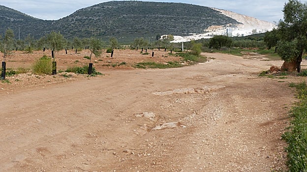 En la zona de La Roda de Andalucía existen muchas opciones para realizar rutas de senderismo de diferentes niveles