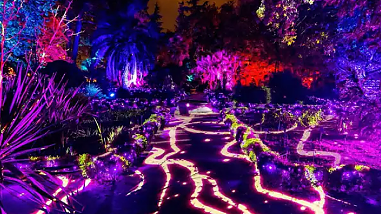 Qué hacer en Sevilla en febrero