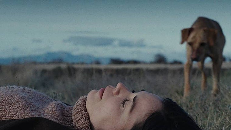 ¿En qué cines de Sevilla se pueden ver las películas nominadas a los Premios Goya 2024? Horarios y entradas