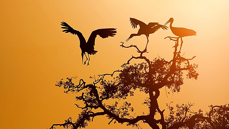 La Casa de la Ciencia de Sevilla es un lugar perfecto para disfrutarlo en familia a lo largo de todo el año