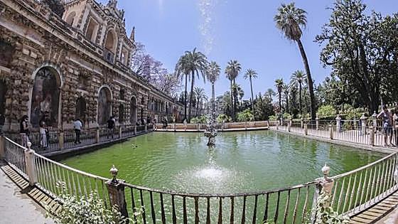 El Alcázar vuelve a ofrecer visitas guiadas y gratuitas para residentes en Sevilla