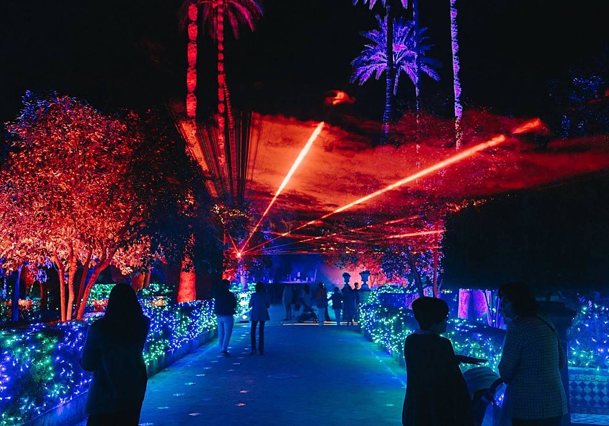 Naturaleza Encendida en el Real Alcázar