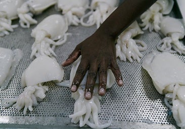 Las exposiciones que no te puedes perder en este mes de mayo en Sevilla