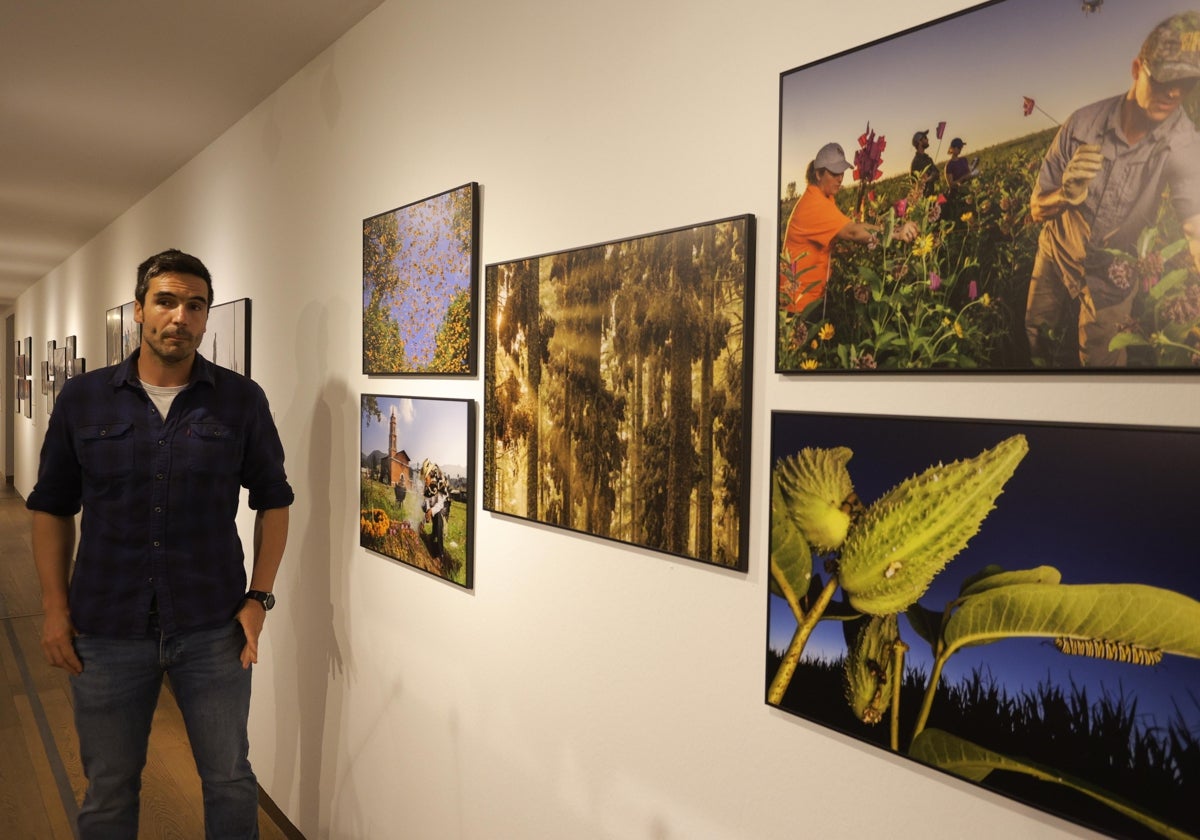 Jaime Rojo, ganador regional del World Press Photo por su trabajo sobre la mariposa monarca