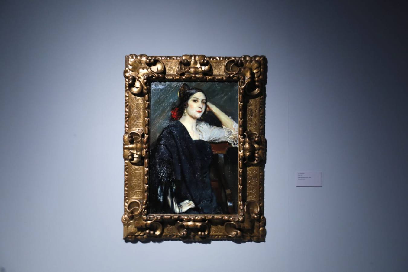 Inauguración de la exposición 'Sevilla en la mirada" en el Museo de Bellas Artes de Sevilla