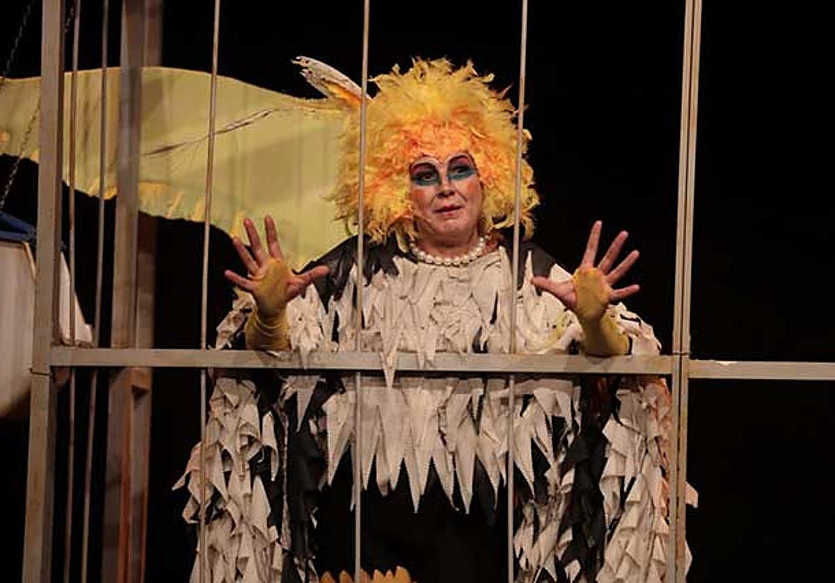 Qué hacer hoy, sábado 27 de julio de 2024