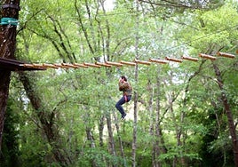 Adiós al vértigo: las mejores tirolinas de Sevilla para los amantes de las alturas