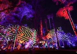 Naturaleza Encendida en Sevilla: fechas, horarios y entradas de la segunda edición