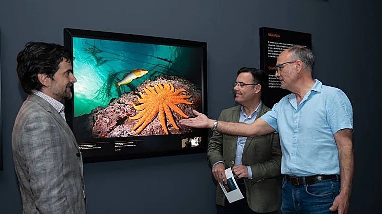 Esta es una de las exposiciones que se encuentra en estos momentos en las instalaciones del Caixaforum de Sevilla