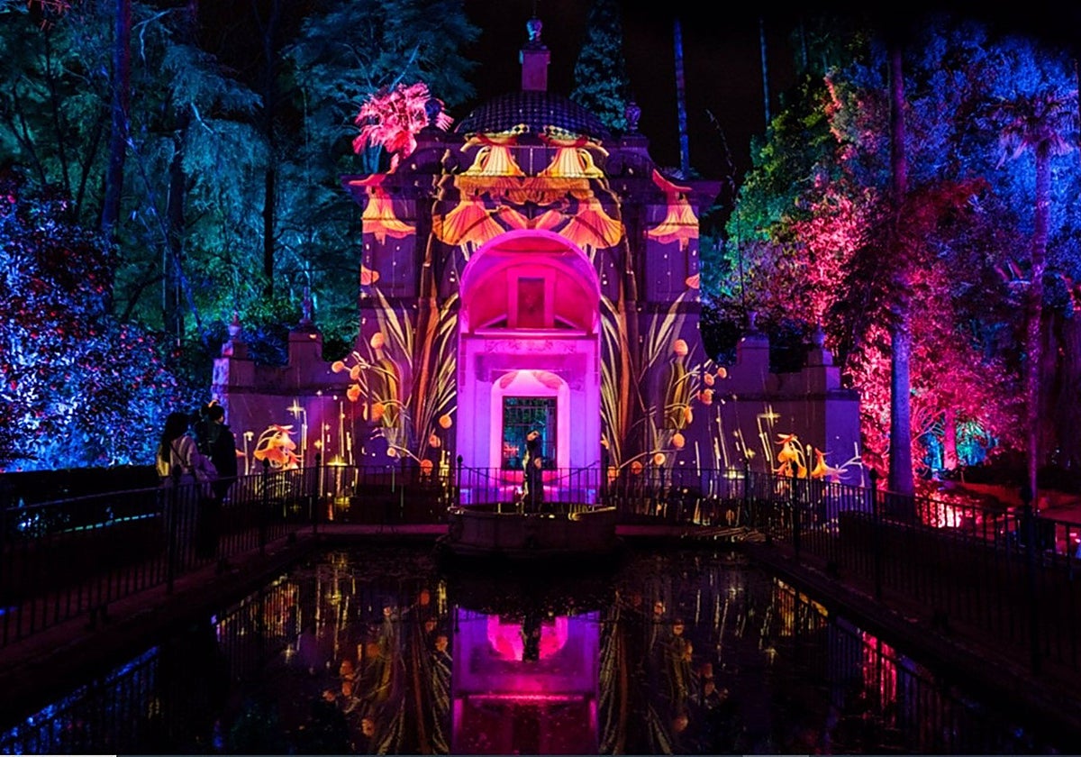 Un instante de Naturaleza Encendida