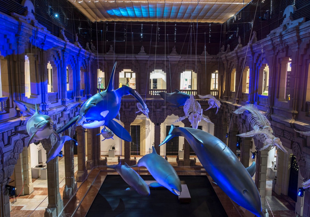 En las instalaciones de la Casa de la Ciencia es posible visitar interesantes exposiciones