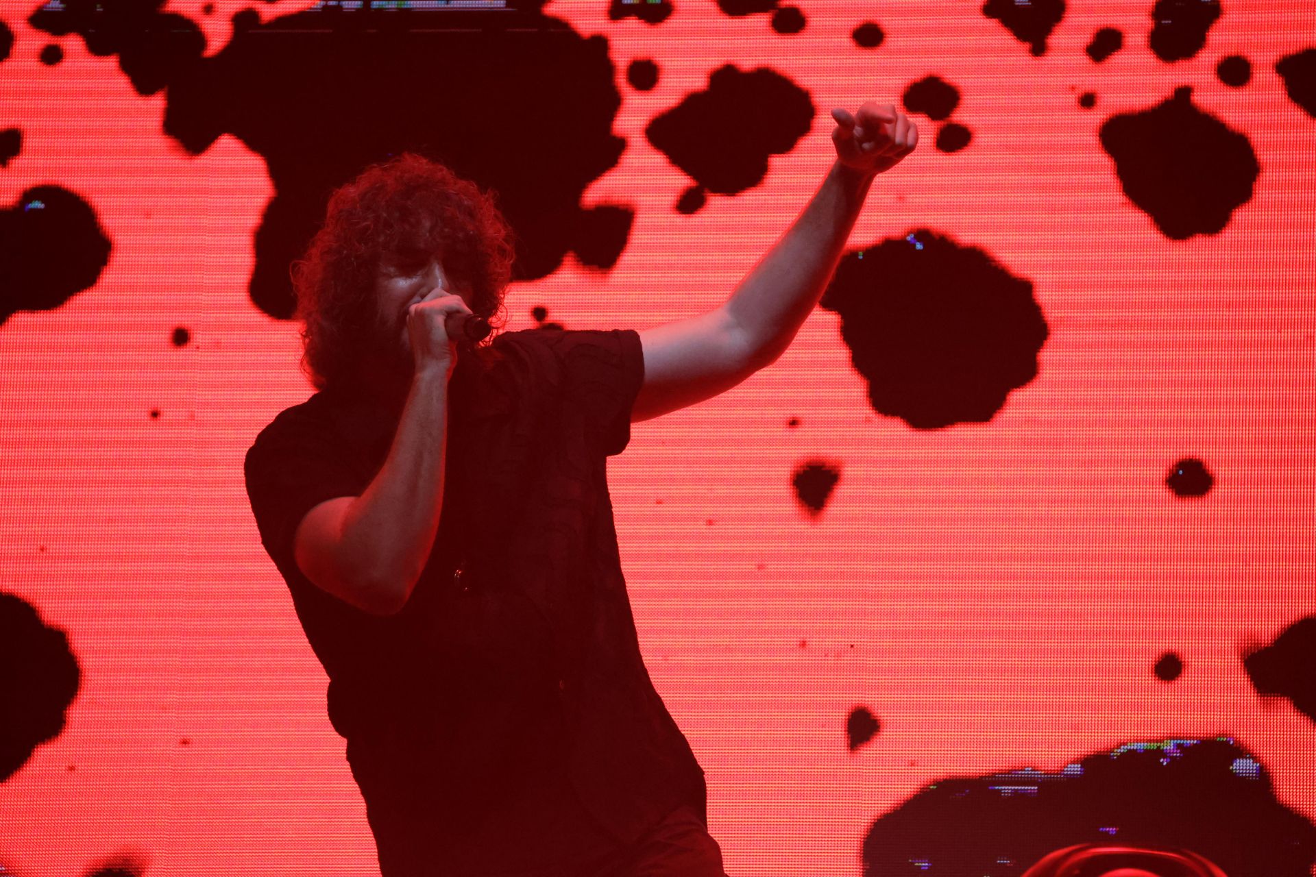 Concierto de Mikel Izal