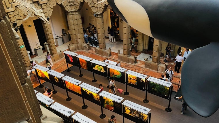 En esta exposición de la Casa de la Ciencia se pueden admirar imágenes de las costas desde el espacio