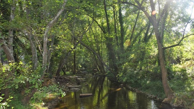 El agua, la sombra y la naturaleza son los argumentos que tiene Isla Margarita para recibir numerosas visitas a lo largo del verano