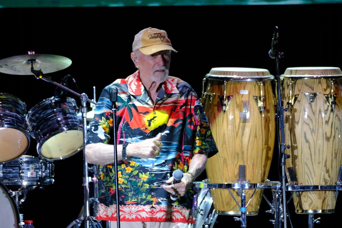 Un momento de la actuación de la banda The Beach Boys en Jerez