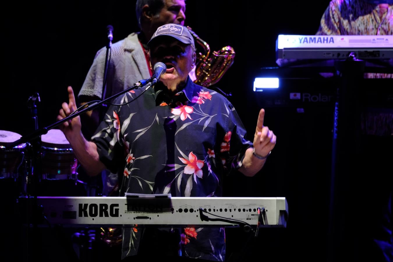 Un momento de la actuación de la banda The Beach Boys en Jerez