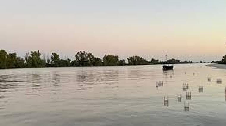 En esta bonita ruta que se celebra en Coria del Río, los participantes pueden conocer la relación que tiene esta localidad con Japón