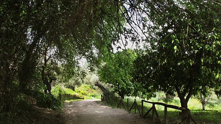 En el Corredor Verde Metropolitano es posible encontrar muchas zonas con sombra y numerosa vegetación