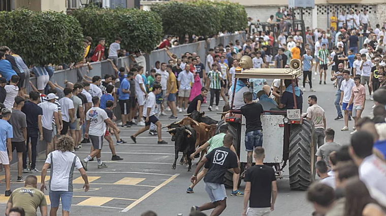 Así es el pequeño 'San Fermín' que La Algaba celebra con motivo de su feria de septiembre