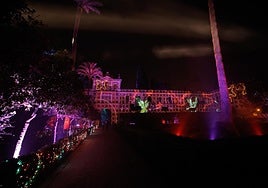 Así puedes ir a Naturaleza Encendida por solo 5 euros: requisitos y horarios especiales