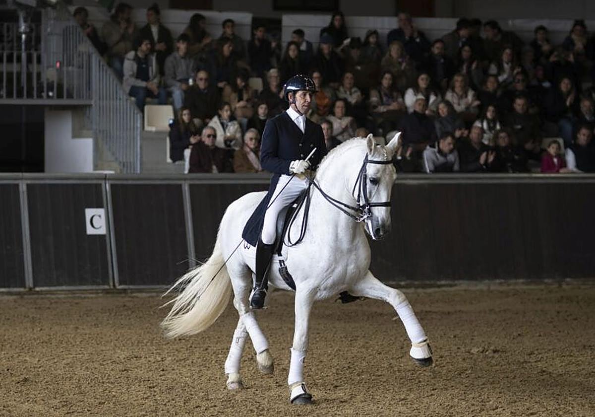 Espectáculo de doma clásica en la yeguada Torreluna