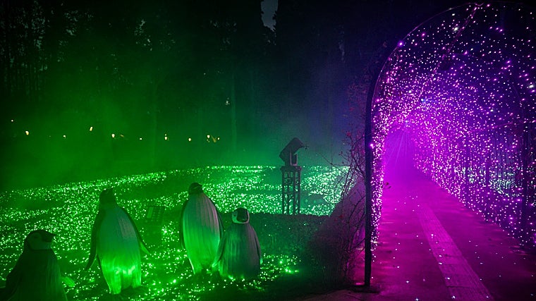 A impressionante proposta da Nature Encendida regressa ao local do Real Alcazar de Sevilha no início de 2026.