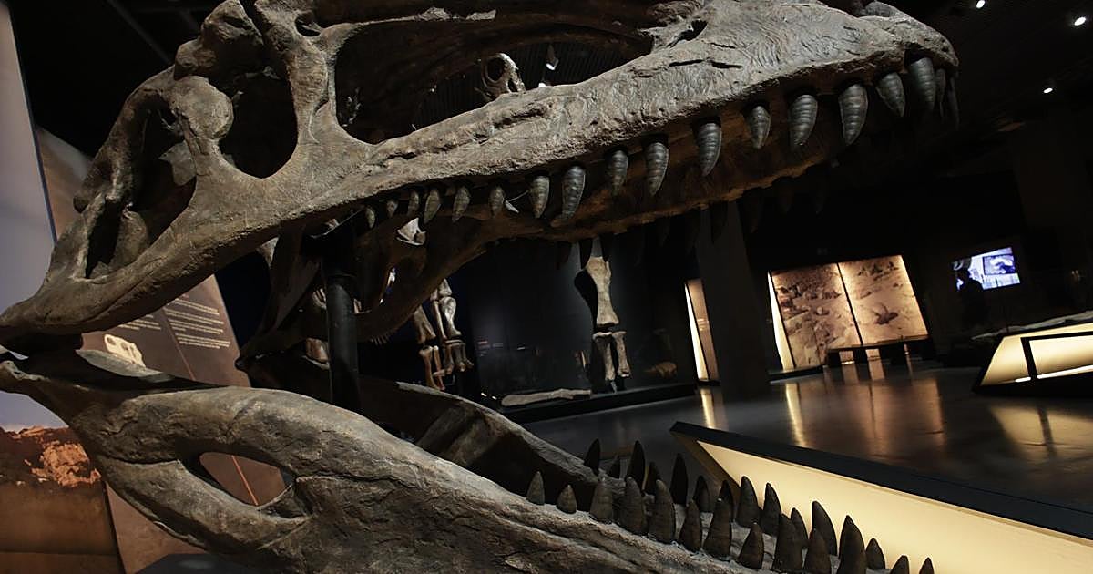 Un Viaje al Pasado Remoto: CaixaForum Sevilla se Transforma en un Portal Mesozoico