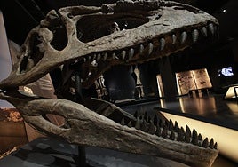 CaixaForum trae la Patagonia del Mesozoico a Sevilla con una inédita exposición de dinosaurios
