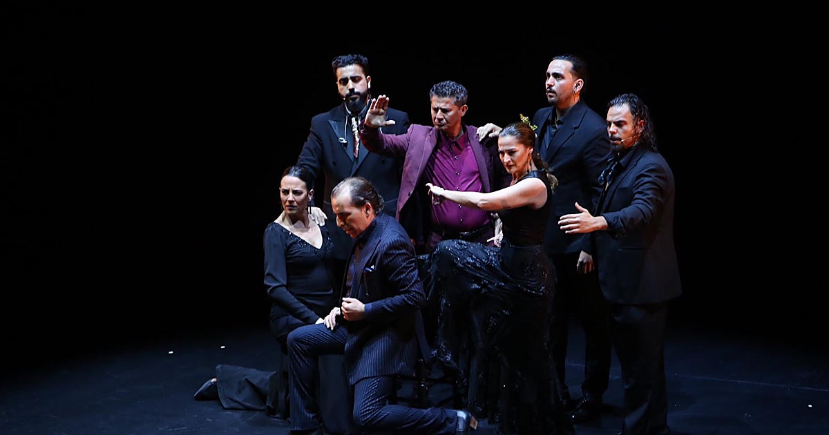 El flamenco diverso
