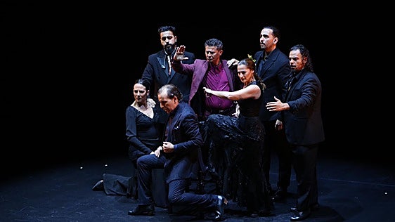 El flamenco diverso