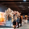 Visita familiar a “Dinosaurios de la Patagonia” y menús temáticos