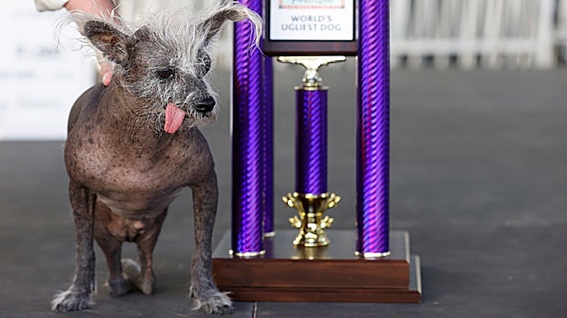 Scooter junto al galardón del certamen