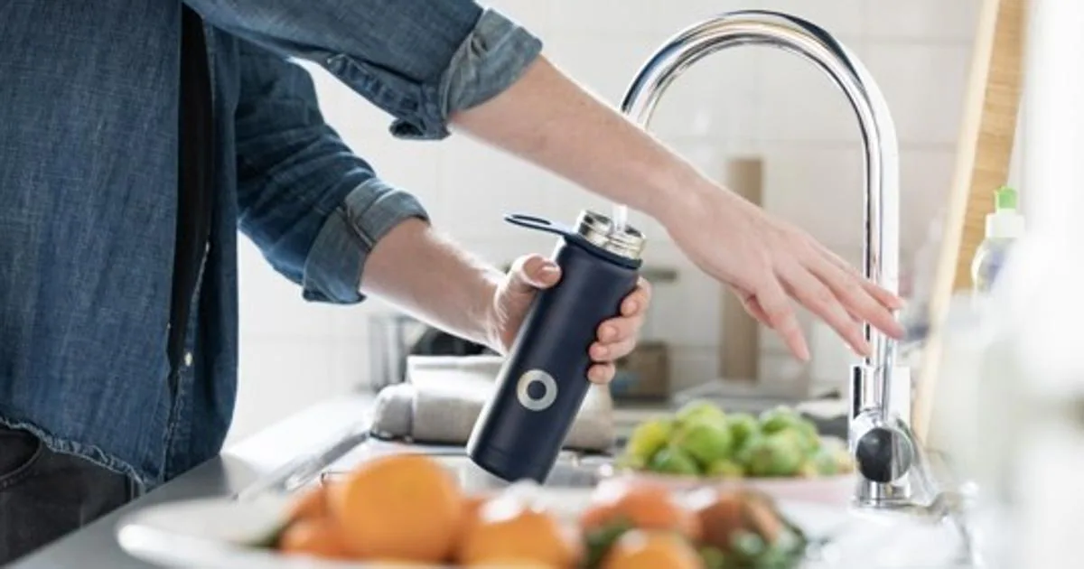 Cómo eliminar el mal olor de la jarra para agua: truco fácil en minutos –  Enséñame de Ciencia