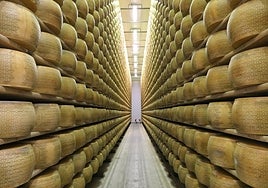 Muere un hombre de 74 años en Italia tras ser aplastado por 15.000 quesos Grana Padano