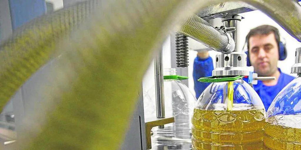 Una experta analiza los aceites de oliva de diversos bares y dicta sentencia