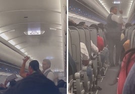Una plaga de mosquitos provoca el retraso de un vuelo durante varias horas