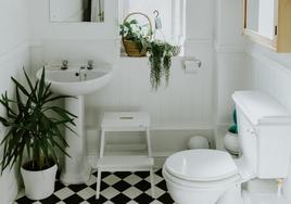 Los trucos infalibles para eliminar la humedad del baño y evitar la aparición de moho