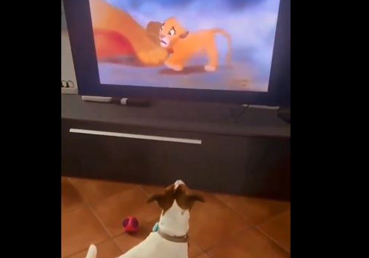 Un instante d vídeo