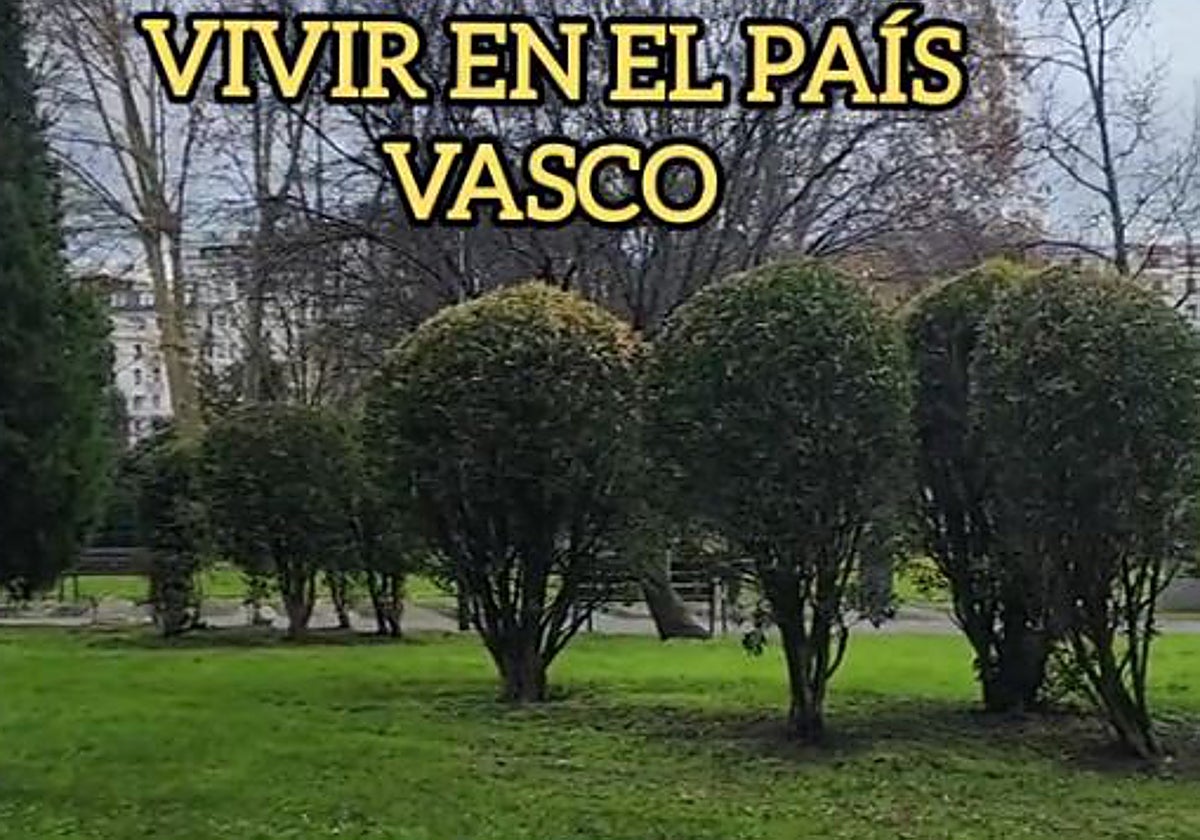 Un detalle del vídeo viral